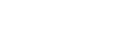 Brøkvis